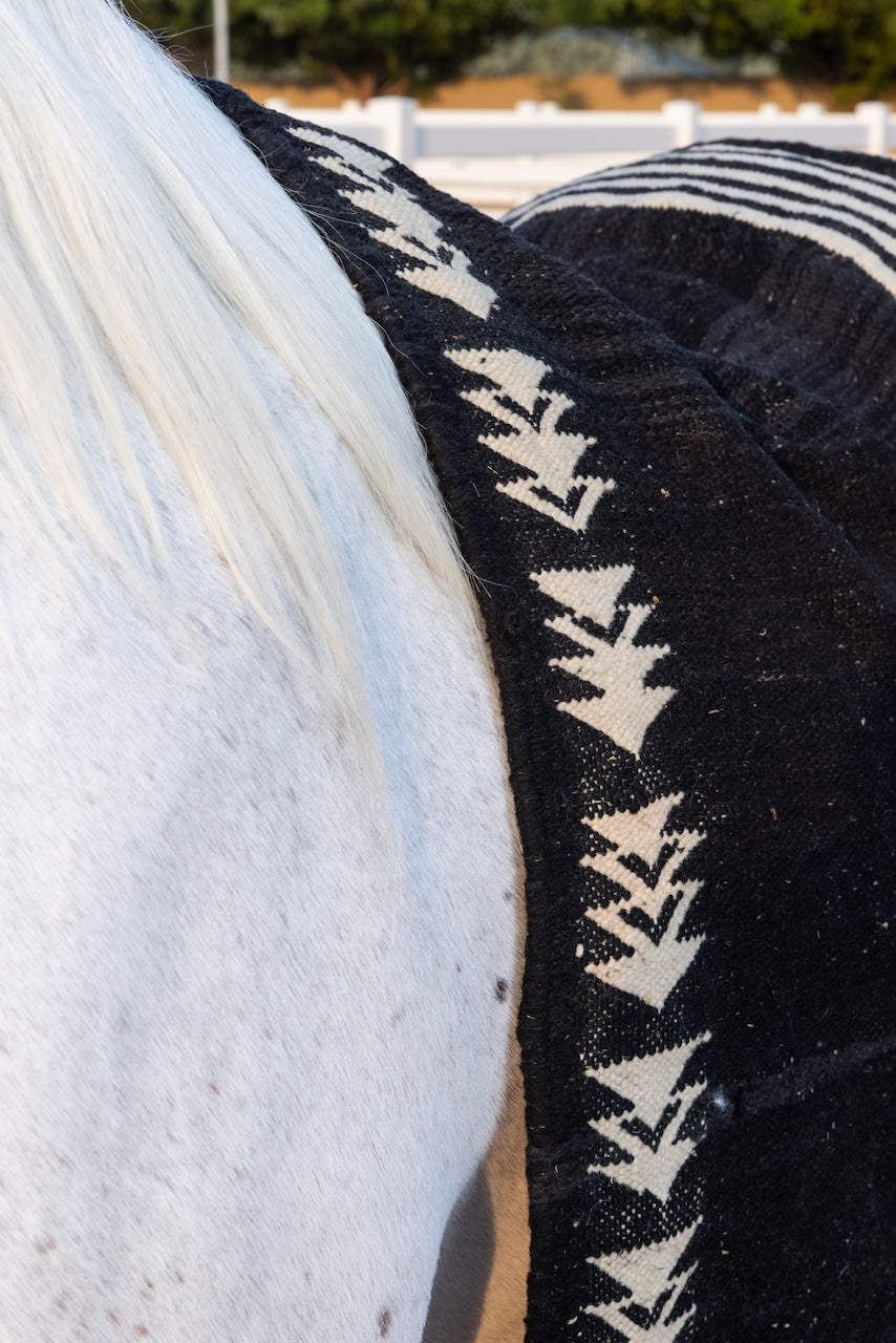 Close-up of a horse wearing a black saddle blanket with white patterns.