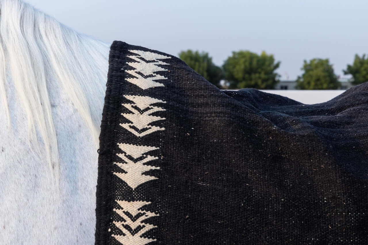 Char Noir – Black & Ivory Moroccan Rug draped over a white horse showing intricate geometric patterns.
